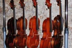 2015_mostra_violini