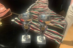 FB_IMG_1685359727044